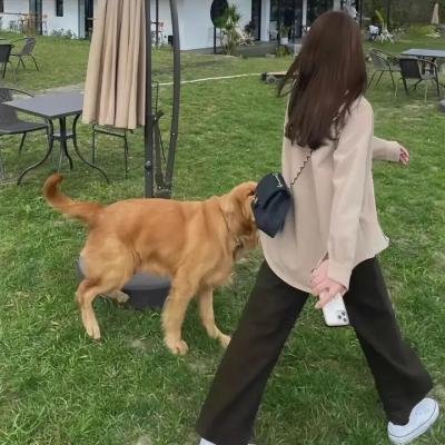 双面博士